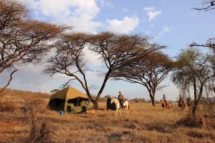 Safari au gros gibier de Meru-Kilimanjaro