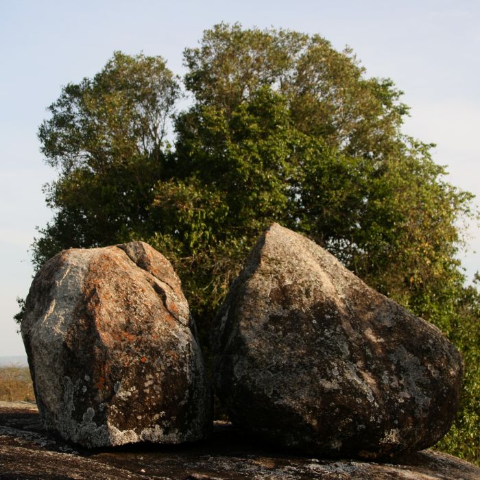 Safari du lac Mburo