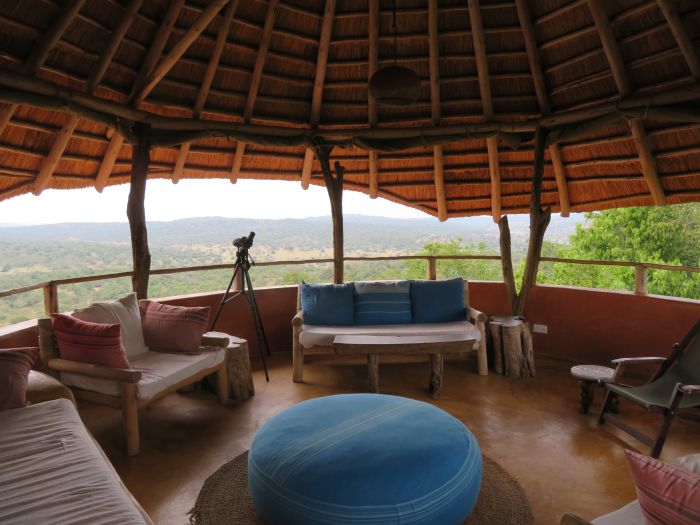 Safari du lac Mburo