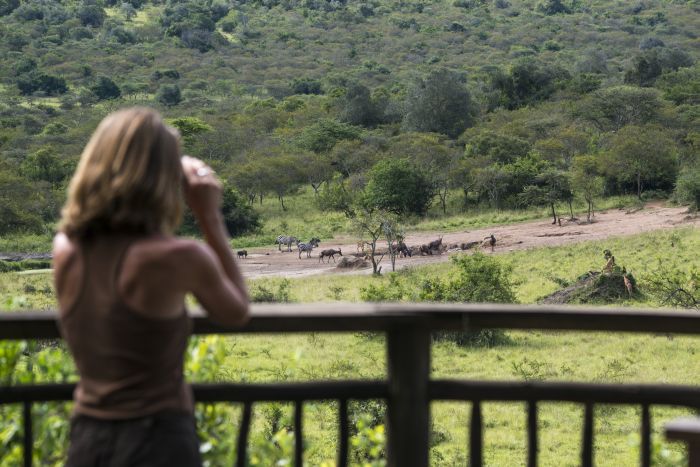 Safari du lac Mburo