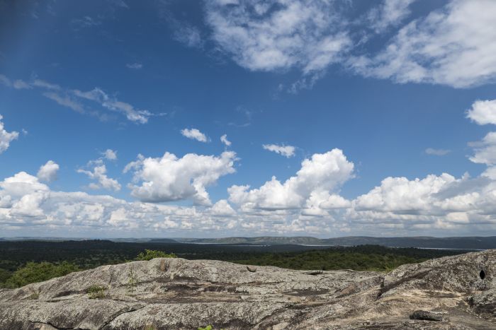 Safari du lac Mburo