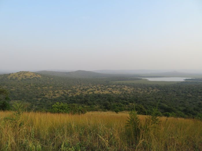 Safari du lac Mburo