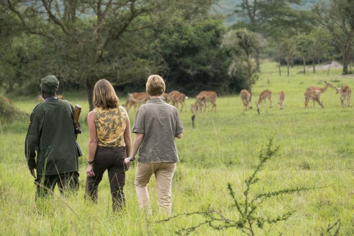 Safari du lac Mburo