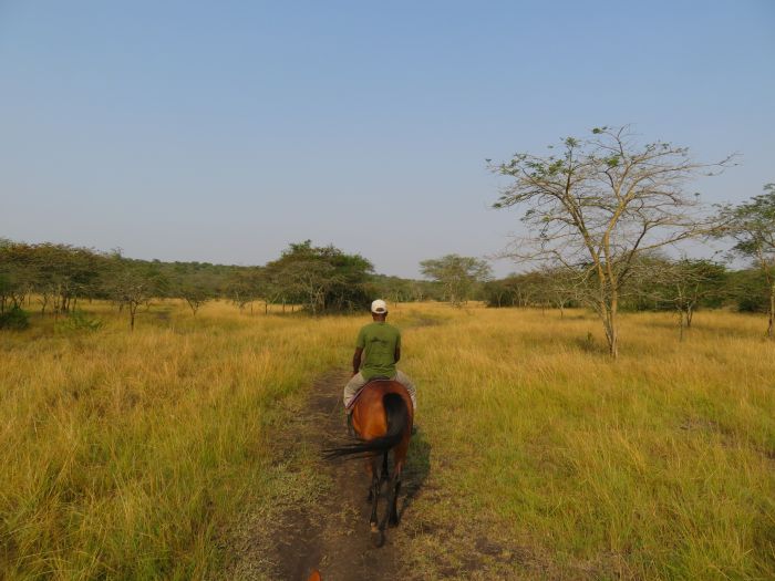 Safari du lac Mburo
