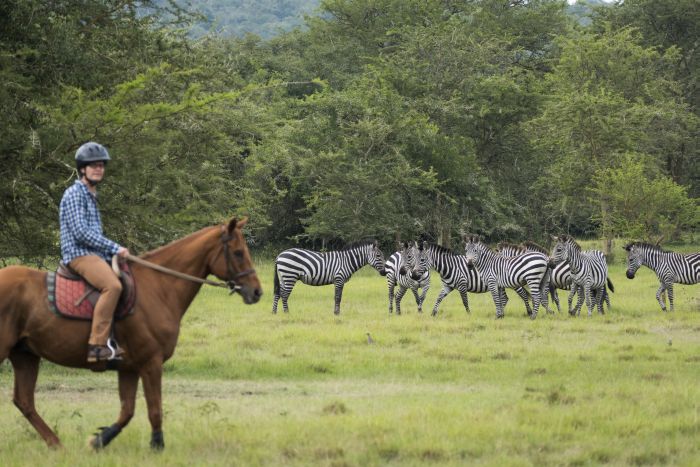 Safari du lac Mburo