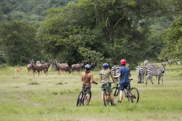 Safari du lac Mburo