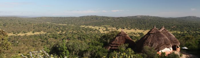 Safari du lac Mburo