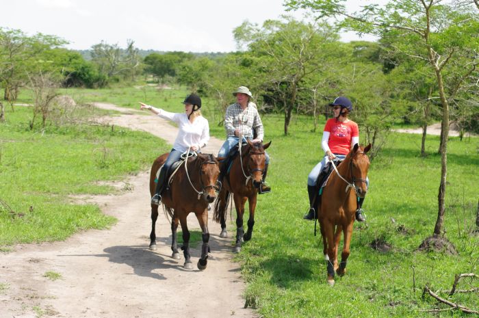 Safari du lac Mburo