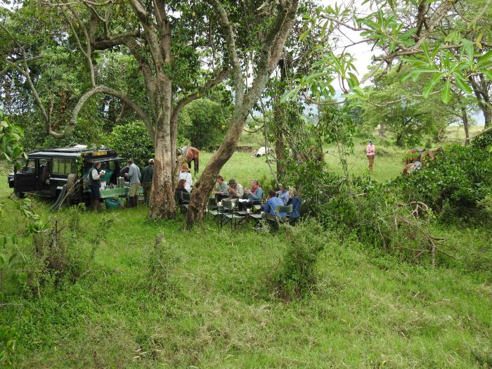 Safari dans le Masai Mara et la vallée du Grand Rift