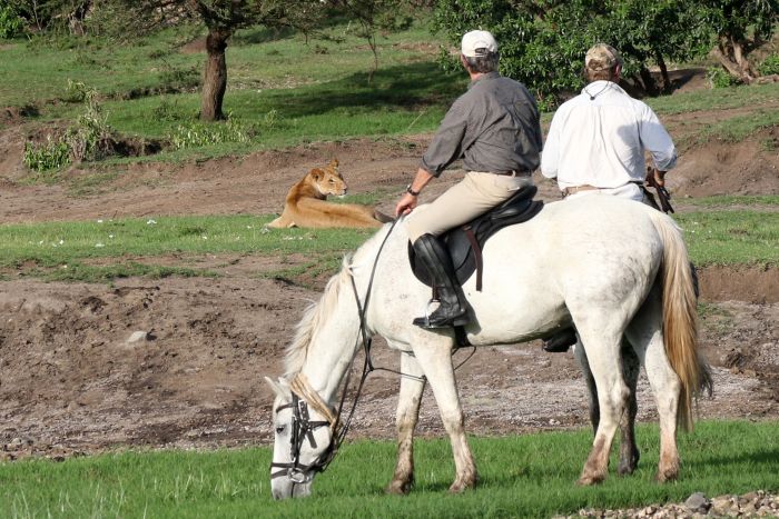 Safari dans le Masai Mara et la vallée du Grand Rift
