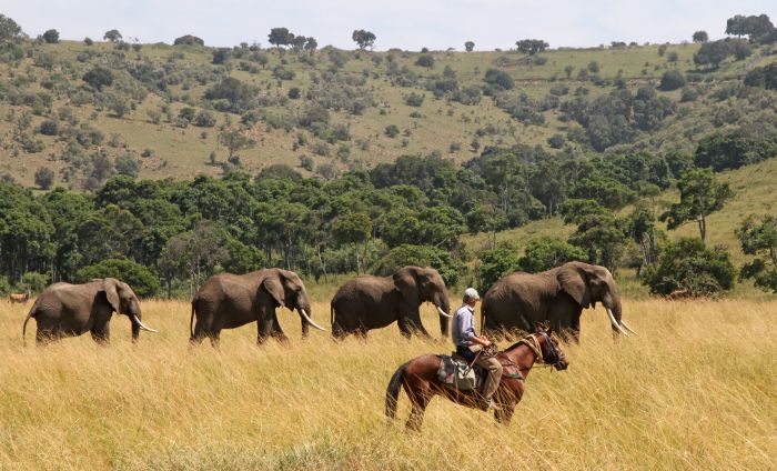 Safari dans le Masai Mara et la vallée du Grand Rift