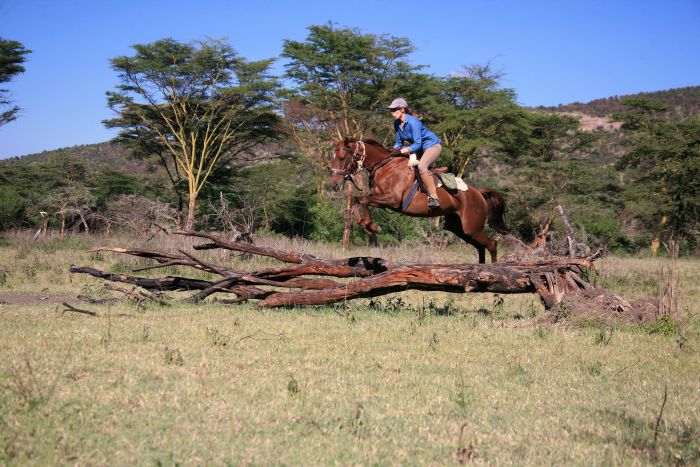 Safari dans le Masai Mara et la vallée du Grand Rift