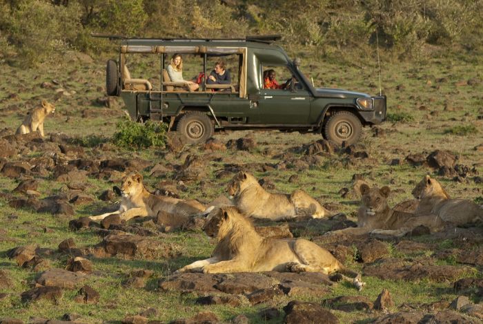 Safari dans le Masai Mara et la vallée du Grand Rift