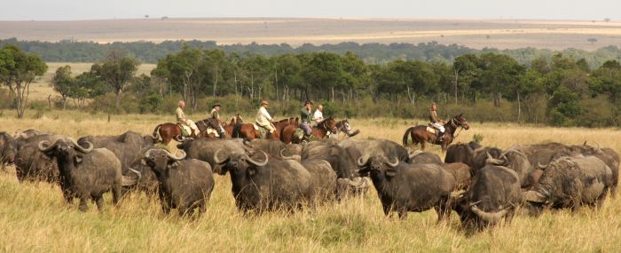 Safari dans le Masai Mara et la vallée du Grand Rift