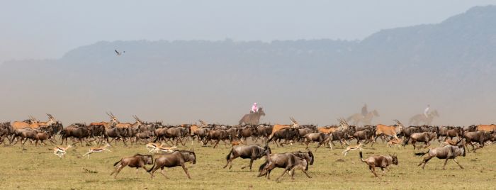 Safari dans le Masai Mara et la vallée du Grand Rift