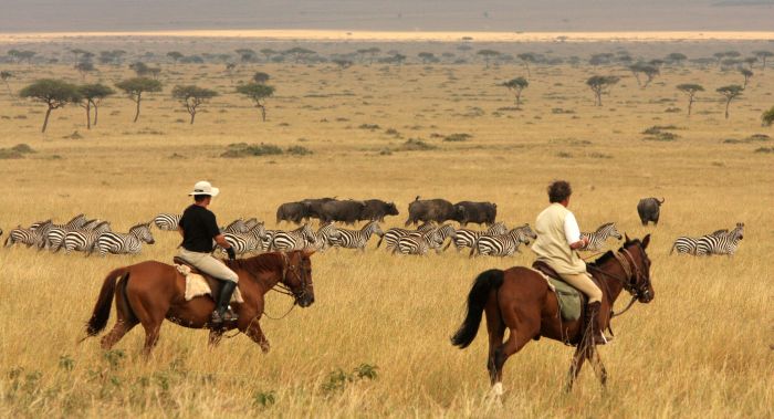Safari dans le Masai Mara et la vallée du Grand Rift