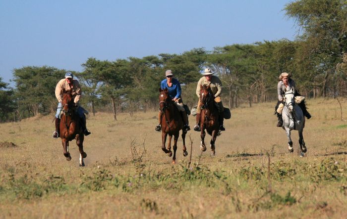 Safari dans le Masai Mara et la vallée du Grand Rift