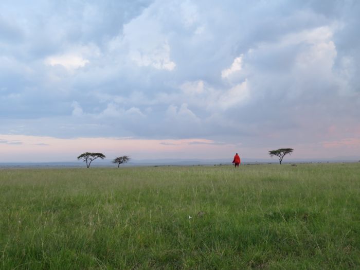 Safari dans le Masai Mara et la vallée du Grand Rift