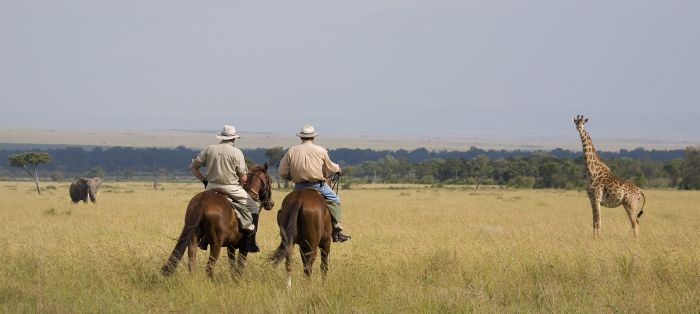 Safari dans le Masai Mara et la vallée du Grand Rift