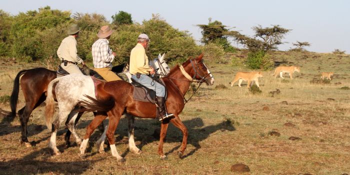 Safari dans le Masai Mara et la vallée du Grand Rift