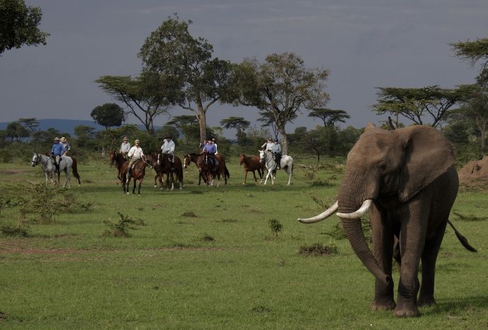 Safari dans le Masai Mara et la vallée du Grand Rift