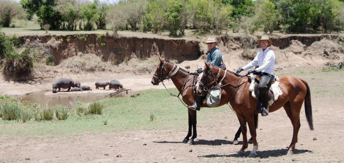 Safari dans le Masai Mara et la vallée du Grand Rift