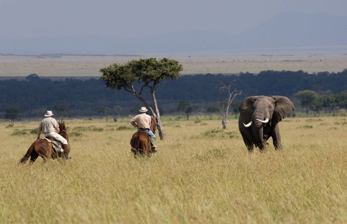 Safari dans le Masai Mara et la vallée du Grand Rift