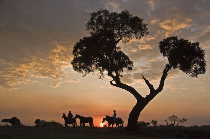 Safari dans le Masai Mara et la vallée du Grand Rift