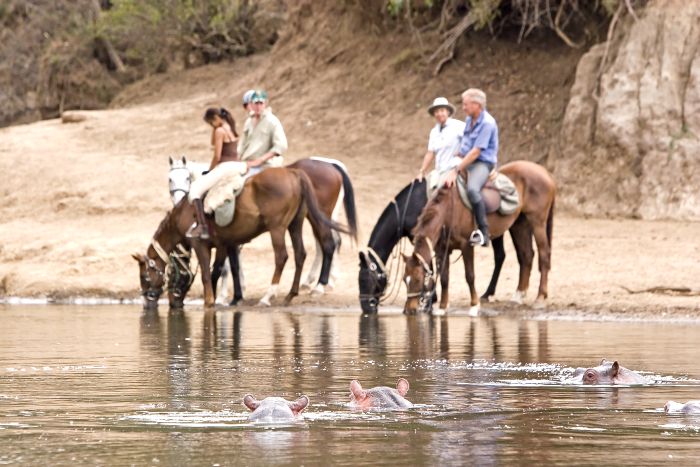 Safari dans le Masai Mara et la vallée du Grand Rift