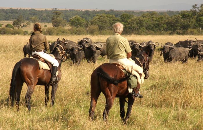 Safari dans le Masai Mara et la vallée du Grand Rift
