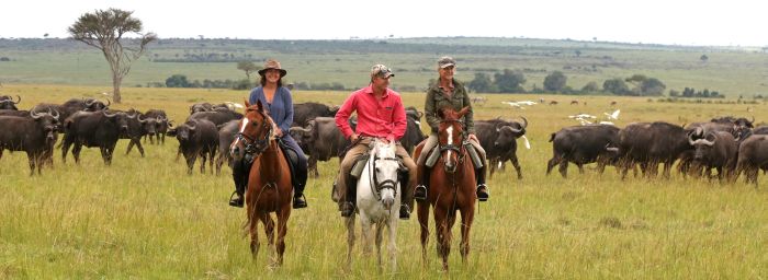 Safari dans le Masai Mara et la vallée du Grand Rift