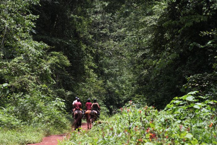 Expériences en Ouganda