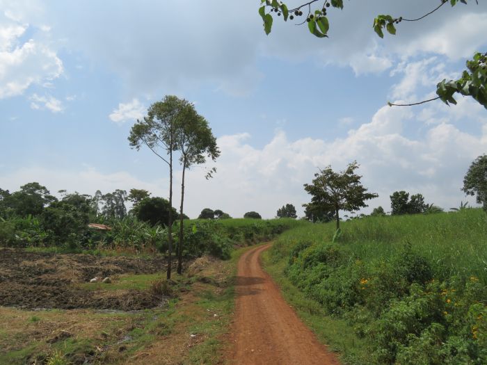 Expériences en Ouganda