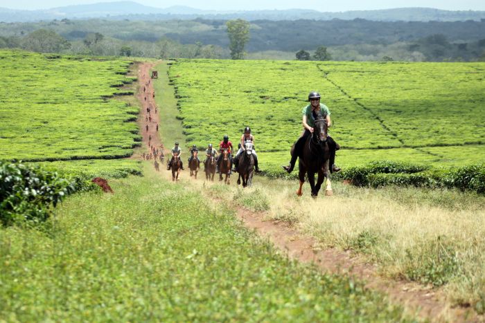 Expériences en Ouganda