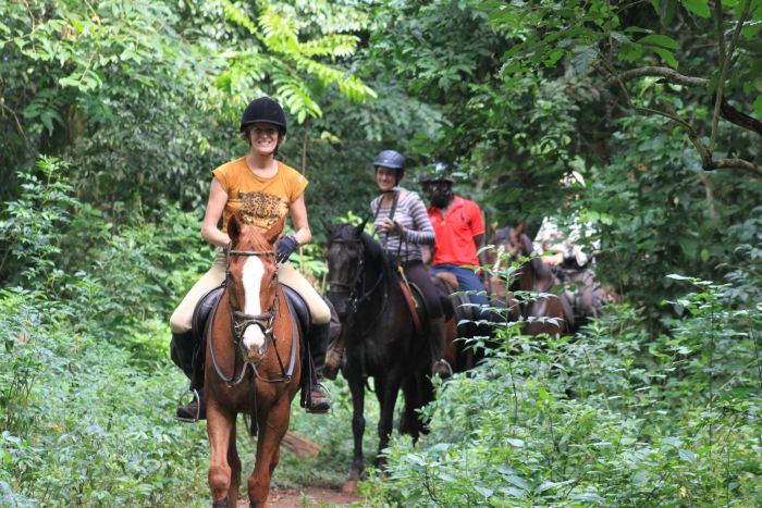 Expériences en Ouganda
