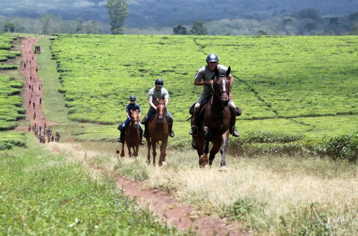Expériences en Ouganda