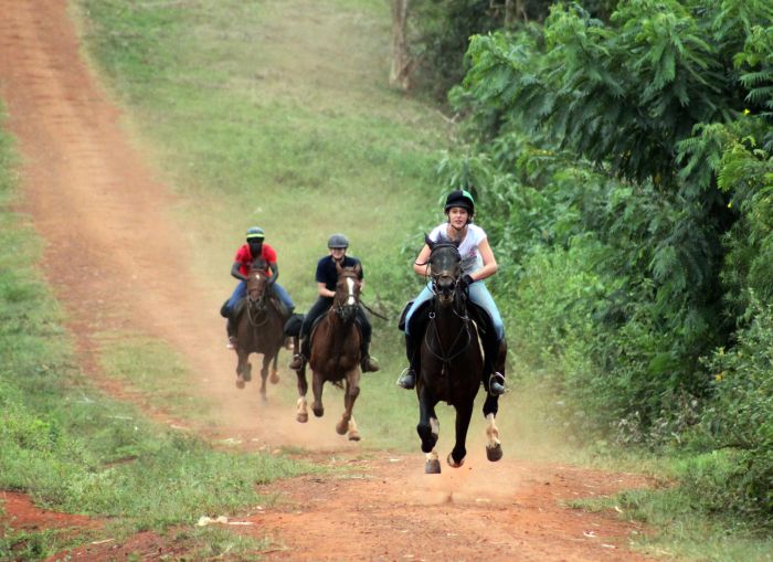 Expériences en Ouganda