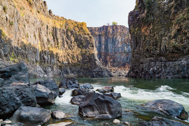 Safari gros gibier au Zamb&egrave;ze