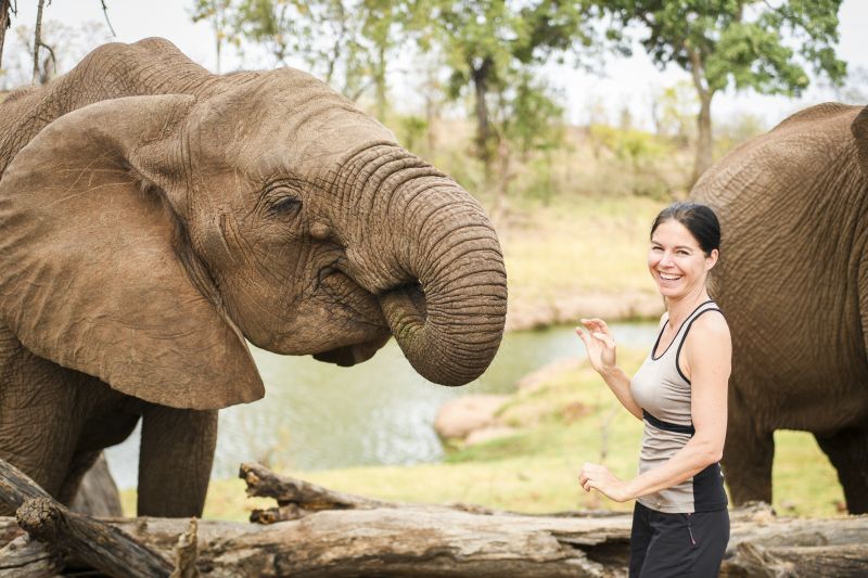Safari gros gibier au Zamb&egrave;ze