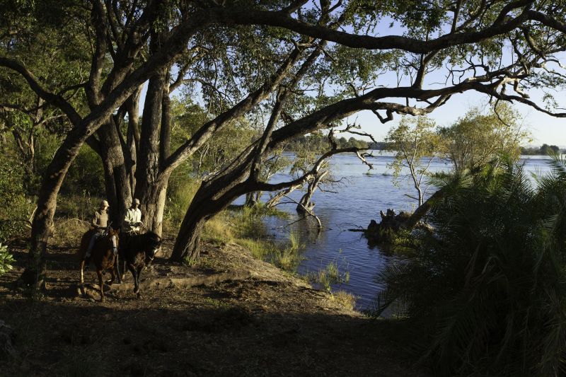 Safari gros gibier au Zamb&egrave;ze
