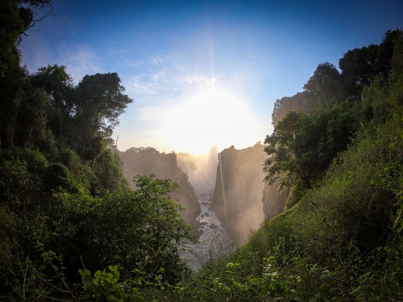 Safari gros gibier au Zamb&egrave;ze