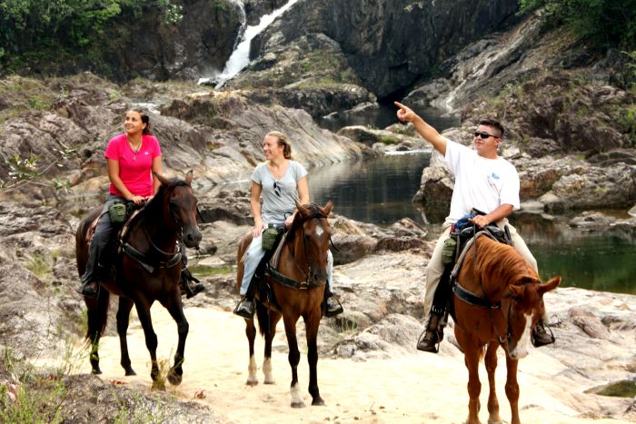 <span class="IndexTourName">Belize Jungle Trails</span>