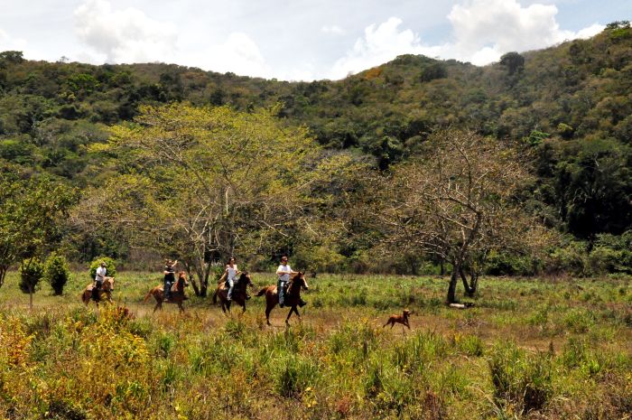 <span class="IndexTourName">Belize Jungle Trails</span>