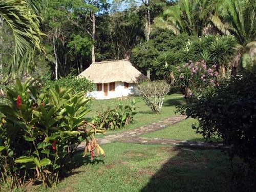 <span class="IndexTourName">Belize Jungle Trails</span>