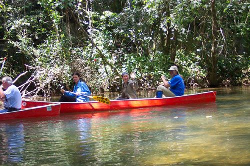 <span class="IndexTourName">Belize Jungle Trails</span>