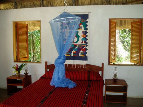 <span class="IndexTourName">Belize Jungle Trails</span>