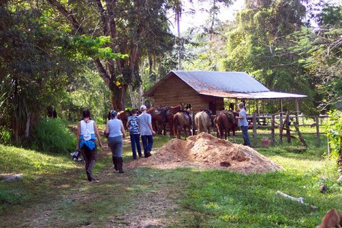<span class="IndexTourName">Belize Jungle Trails</span>