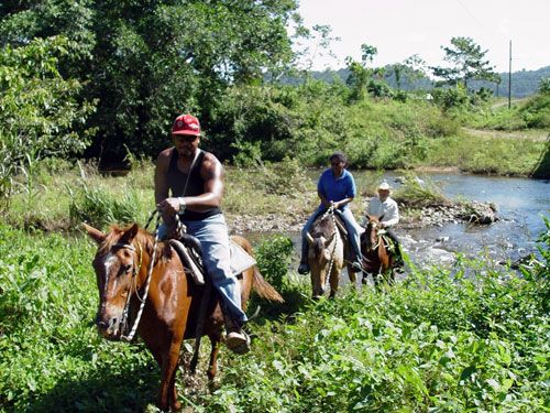 <span class="IndexTourName">Belize Jungle Trails</span>