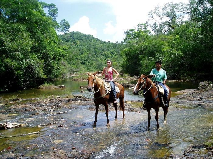 <span class="IndexTourName">Belize Jungle Trails</span>