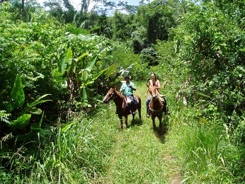 <span class="IndexTourName">Belize Jungle Trails</span>